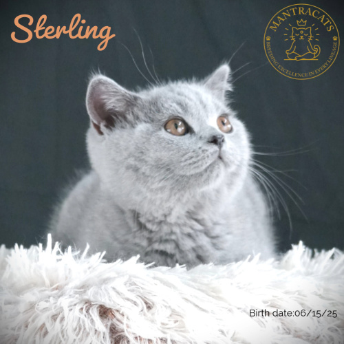 Sterling