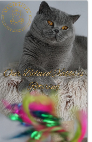 Xabbi (Retired)