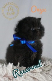 Onyx